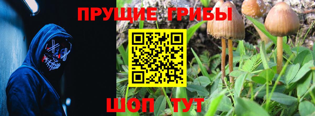 Галлюциногенные грибы Cubensis  Вход с VPN  Псилоцибиновые грибы мухоморы  Псков 